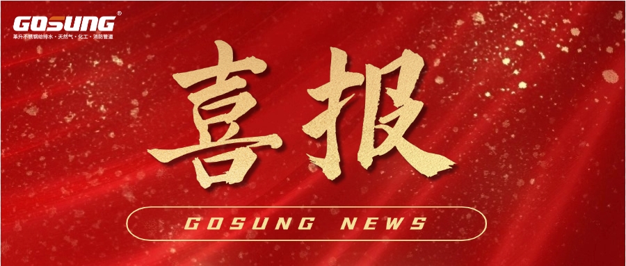 GOSUNG资讯丨2025GOSUNG势如破竹，火力“标”升，实力擎新峰！